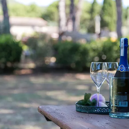 Guesthost - Dolce Far Niente With Pool & Parking * Passignano sul Trasimeno