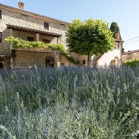 Guesthost - Dolce Far Niente With Pool & Parking Appartamento Passignano sul Trasimeno
