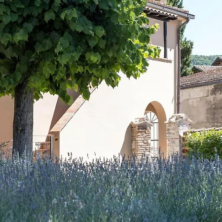 Guesthost - Dolce Far Niente With Pool & Parking Passignano sul Trasimeno