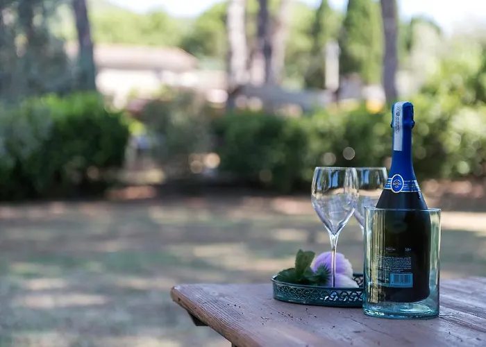 Guesthost - Dolce Far Niente With Pool & Parking * パッシニャーノ・スル・トラジメーノ