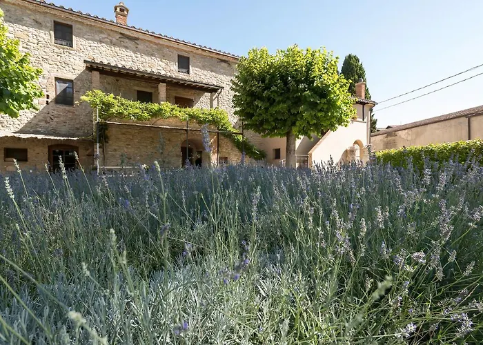 Guesthost - Dolce Far Niente With Pool & Parking アパート パッシニャーノ・スル・トラジメーノ