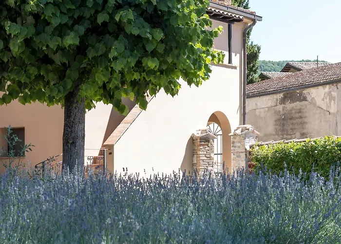 Guesthost - Dolce Far Niente With Pool & Parking パッシニャーノ・スル・トラジメーノ